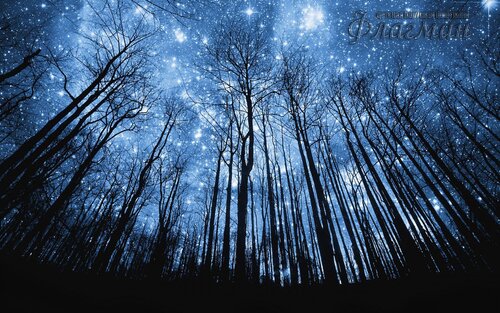 c619b1e7033af114bb7256c7008b8495